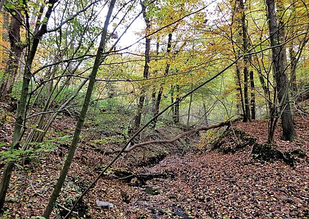 Bodendenkmal Geländeausschnitt im Hasselbachtal