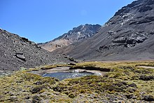 Bofedales en estero Chilon, comuna de Putaendo (28571433217) .jpg