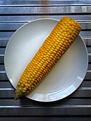 Boiled corn on a white plate
