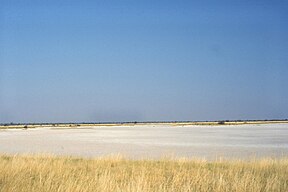 Botswana Nxai Pan NP Salzpfanne.jpg