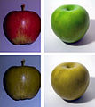 Diferencijacija crvene i zelene boje jabuke