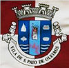 Bandeira de São Paio de Oleiros