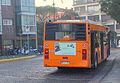 Bus BredaMenarinibus Monocar 240L au Lido de Venise
