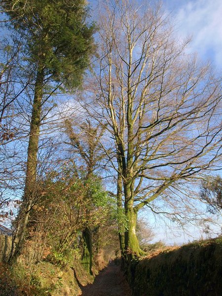 File:Bridleway at Lud Gate - geograph.org.uk - 1183056.jpg