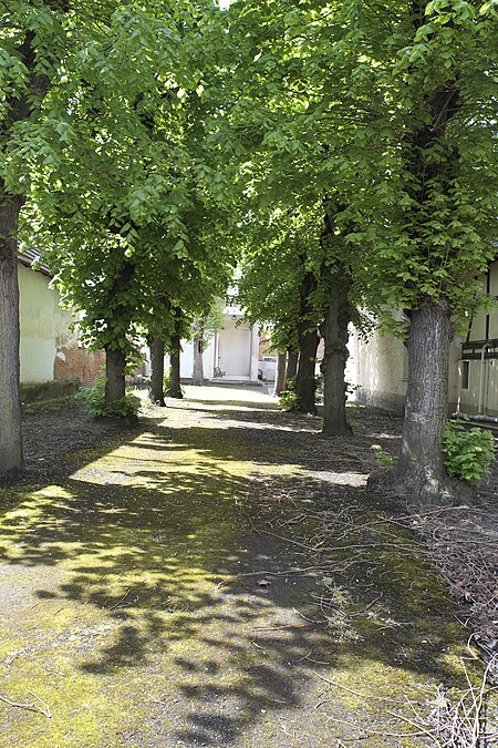 Brumath Synagogue 704