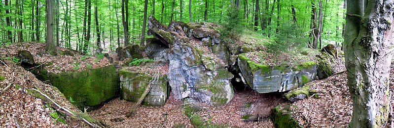 File:Bunker3 BeckingerWald (1).jpg