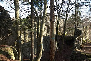 Burgruine Wildenfels - Blick in das Hauptwohngebäude der Burg (Januar 2012)