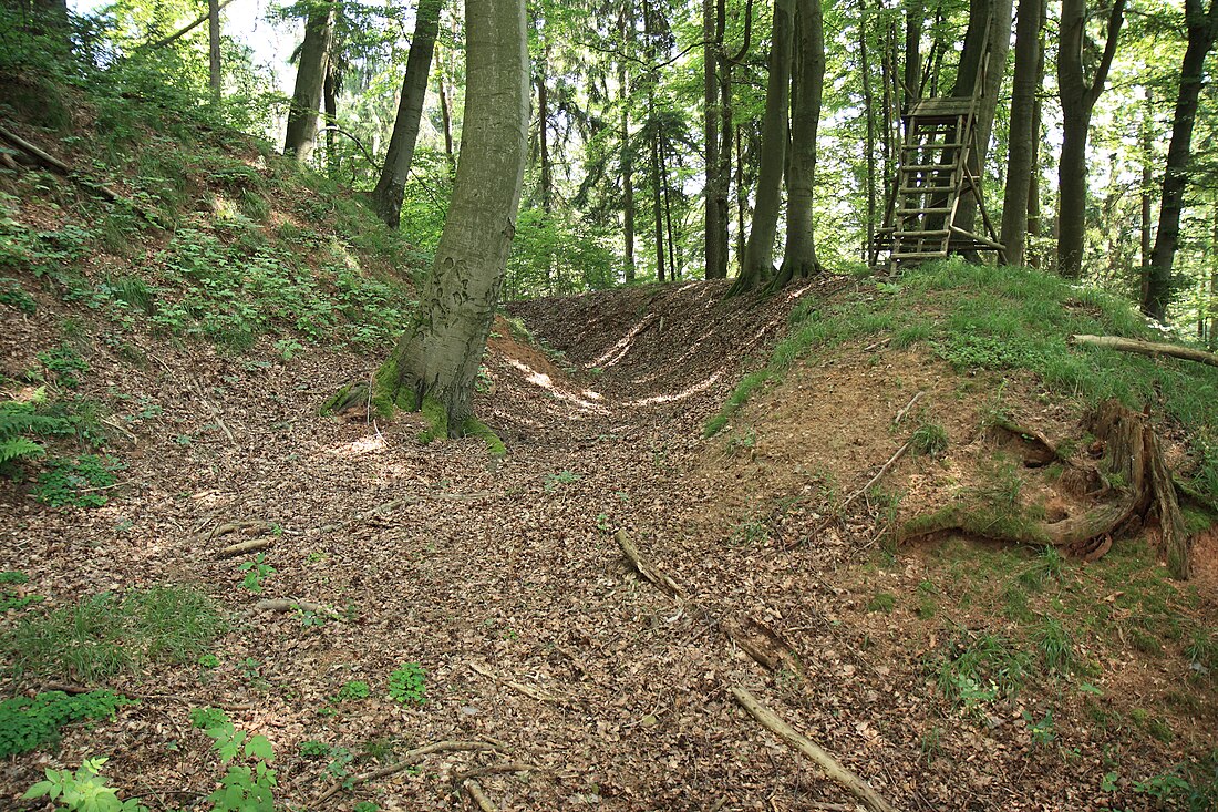 Burgstall Alter Rothenberg