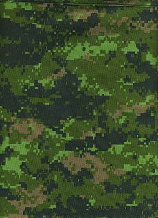 CADPAT digital camouflage pattern (Temperate Woodland variant).jpg