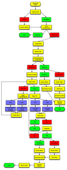 Flow Chart In English