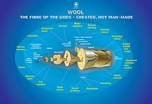 "Wool: Fibre of the gods, created - not man-made" CSIRO marketing poster describing the benefits of wool CSIRO ScienceImage 1054 Wool Fibre of the gods.jpg