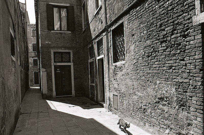 File:Calle de l'Ogio Cannaregio Paolo Monti - Servizio fotografico (Venezia, 1977) - BEIC 6349240.jpg