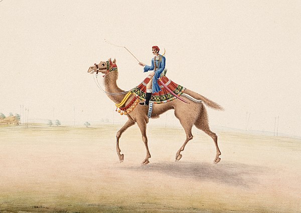 A Purbiya camel rider in Bihar, India in 1825