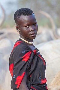 Campamento de ganado de la tribu Mundari, Terekeka, Sudán del Sur, 2024-01-28, DD 157