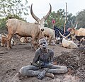 Campamento de ganado de la tribu Mundari, Terekeka, Sudán del Sur, 2024-01-29, DD 45