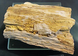 <span class="mw-page-title-main">Carnotite</span> Radioactive mineral