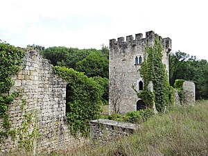 Castella (Lot-et-Garonne) - Château de Fontirou -3.JPG