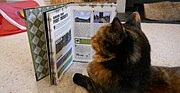 Seba Dosya:Cat learning about Minecraft.jpg ra resmo qıckek