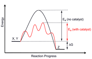 Figure 13: An energy profile diagram demonstrating the effect of a catalyst for the generic exothermic reaction of X + Y -Z. The catalyst offers an alternate reaction pathway (shown in red) where the rate determining step has a smaller DG[?]. The relative thermodynamic stabilities remain the same. Catalysis- Reaction progress.png