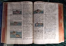 11th book of the Florentine Codex. Centro america, bernardino de Sahagun, historia general de las cosas de nueva espana, 1576-77, cod. m.p. 220.JPG