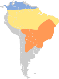Chaetura meridionalis map.svg