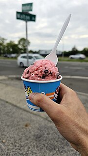 Thumbnail for File:Cherry Jubilee from Ralph's Italian Ices.jpg