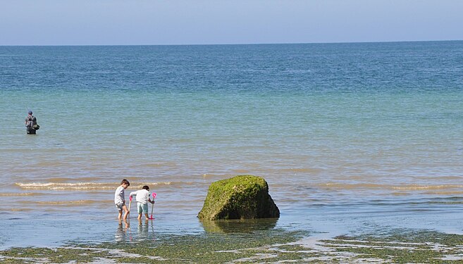 Children on beach of Normandy