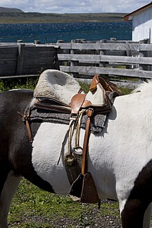 A girth on a Chilean saddle Chileansaddlealpha.jpg