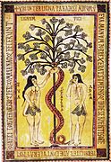 Adam and Eve and the Tree of Good and Evil, miniature from the Codex Aemilianensis (994), Real Biblioteca del Monasterio de San Lorenzo de El Escorial.
