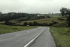 Coffee Road (Rodovia do Café), after km 553.jpg