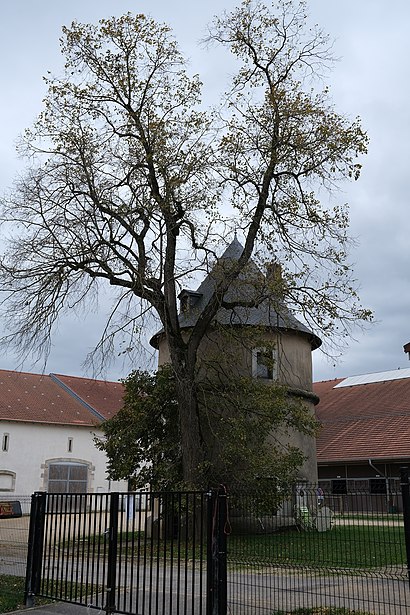 Comment aller à Château de Brabois en transport en commun - A propos de cet endroit