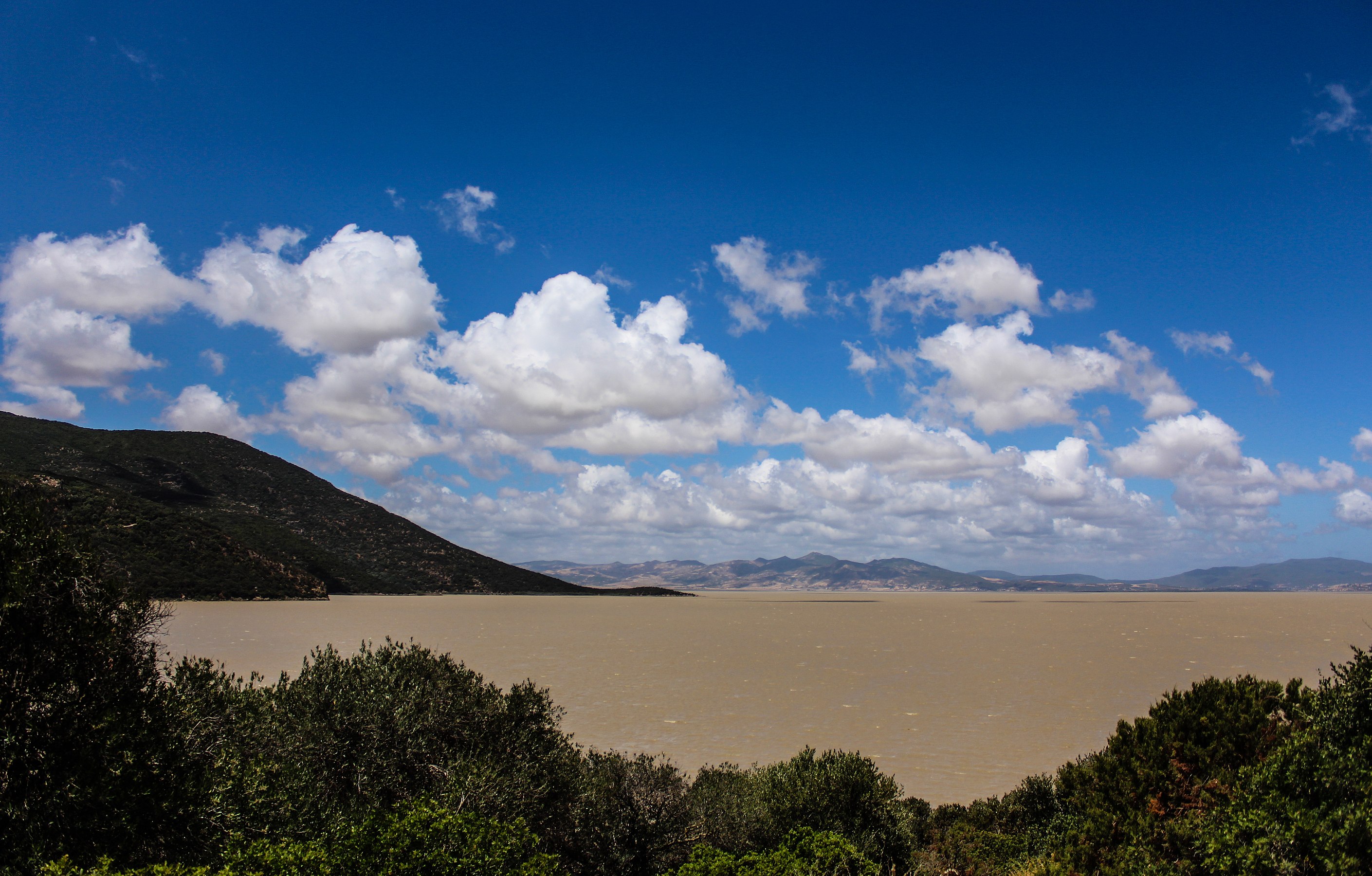 Ichkeul National Park Lake (Karama 22)