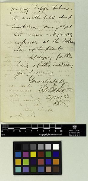 File:Correspondence - Baker (Charles) and Engelmann (George) (Aug 31, 1878 (2)) BHL42205135.jpg