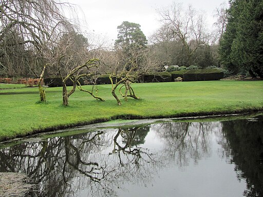 Crooked Trees by the Reflecting Pond at Bovey Castle - geograph.org.uk - 5735686