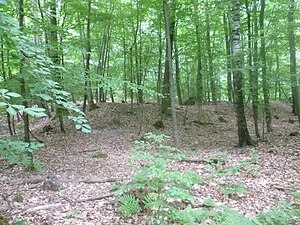 The western one of the entrenchments