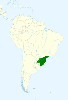 Área de distribución de Cyanocorax caeruleus