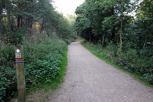 Cycle path in Salcey Forest - geograph.org.uk - 3132951
