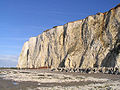 Français : La falaise à marée basse English: The cliff at ebb tide