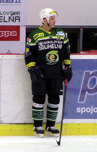 <span class="mw-page-title-main">David Hruška</span> Czech ice hockey player