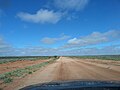 Day Dream Mine - Dirt Road to the mine