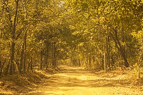 Santuario della fauna selvatica di Debrigarh (38509512300).jpg