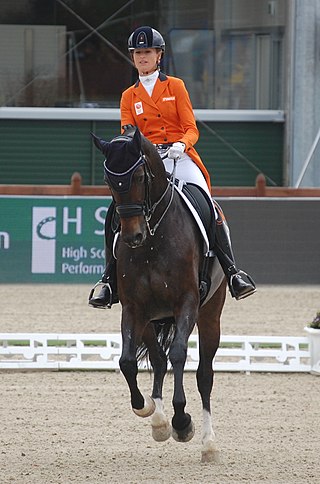 <span class="mw-page-title-main">Dinja van Liere</span> Dutch dressage rider (born 1990)