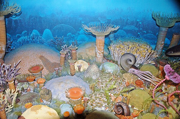 Diorama of a Devonian seafloor