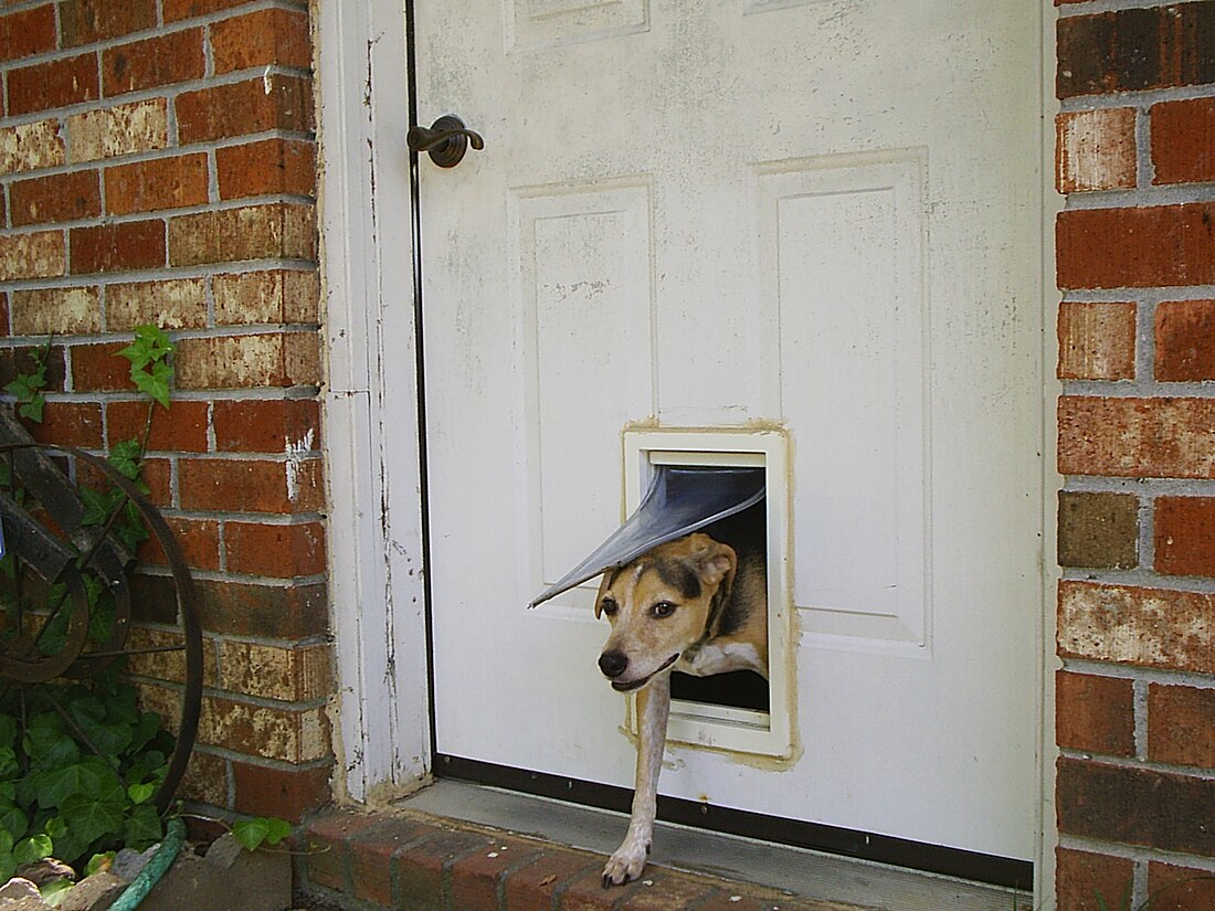 Pet door