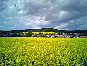 Drozdov (Beroun-distriktet)