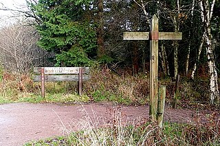 <span class="mw-page-title-main">Drybrook Road railway station</span> Former railway station in England