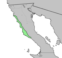 Dudleya ingens distribution map.png