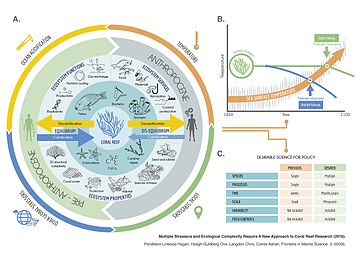 Multiple stressors acting on coral reefs Ecological Processes Coral Reefs.jpg