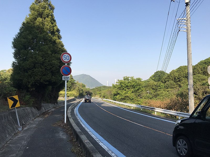 File:Ehime Prefectural Road No.21 on east side of Mimura Pass 3.jpg