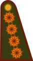 Exército da Argentina (Teniente General[1])
